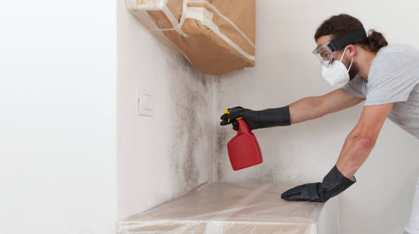 Professional Bathroom Mold Removal technician working in Gainesville, VA