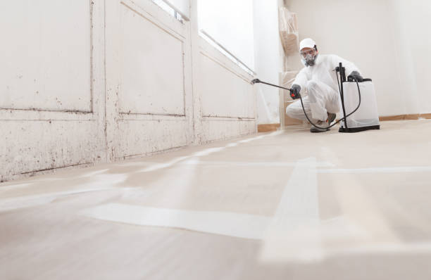 24/7 Emergency Bathroom Mold Removal experts in Gainesville, VA