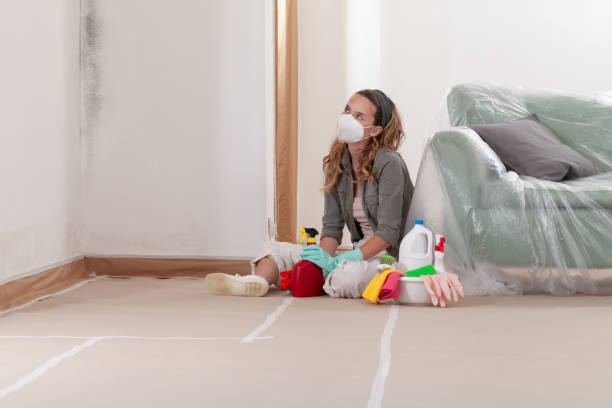 Reliable Bathroom Mold Removal contractor in Gainesville, VA by 24 Hour Mold Removal
