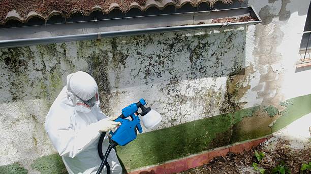 Top rated local Bathroom Mold Removal specialists in Gainesville, VA